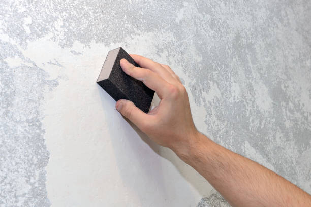 Best Industrial Mold Remediation  in Owingsville, KY