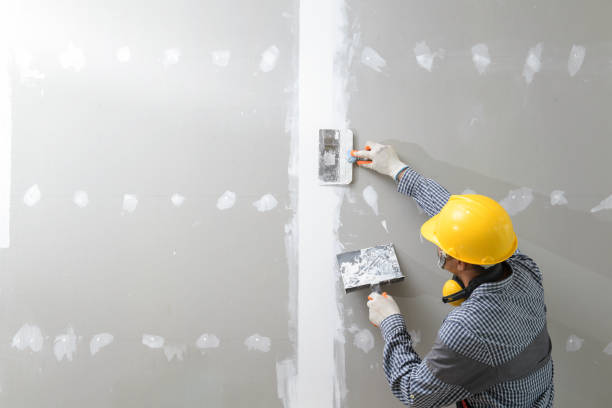 Owingsville, KY Mold Removal Company