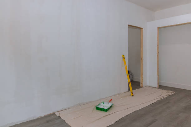 Best Asbestos and Lead Testing During Mold Inspection  in Owingsville, KY